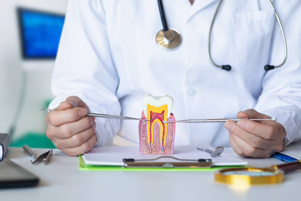 Best Emergency Dental Care for Broken or Chipped Teeth in Manchester, PA